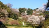 弘川寺歴史と文化の森